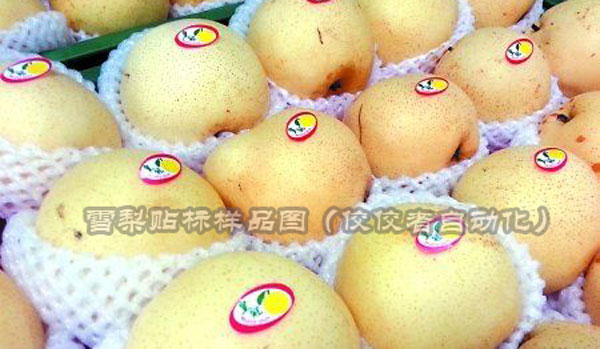 ѩ��ˮ�������N��(bi��o)